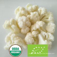 Nop EU Organic Frozen IQF Cauliflower Cut / Floret From China